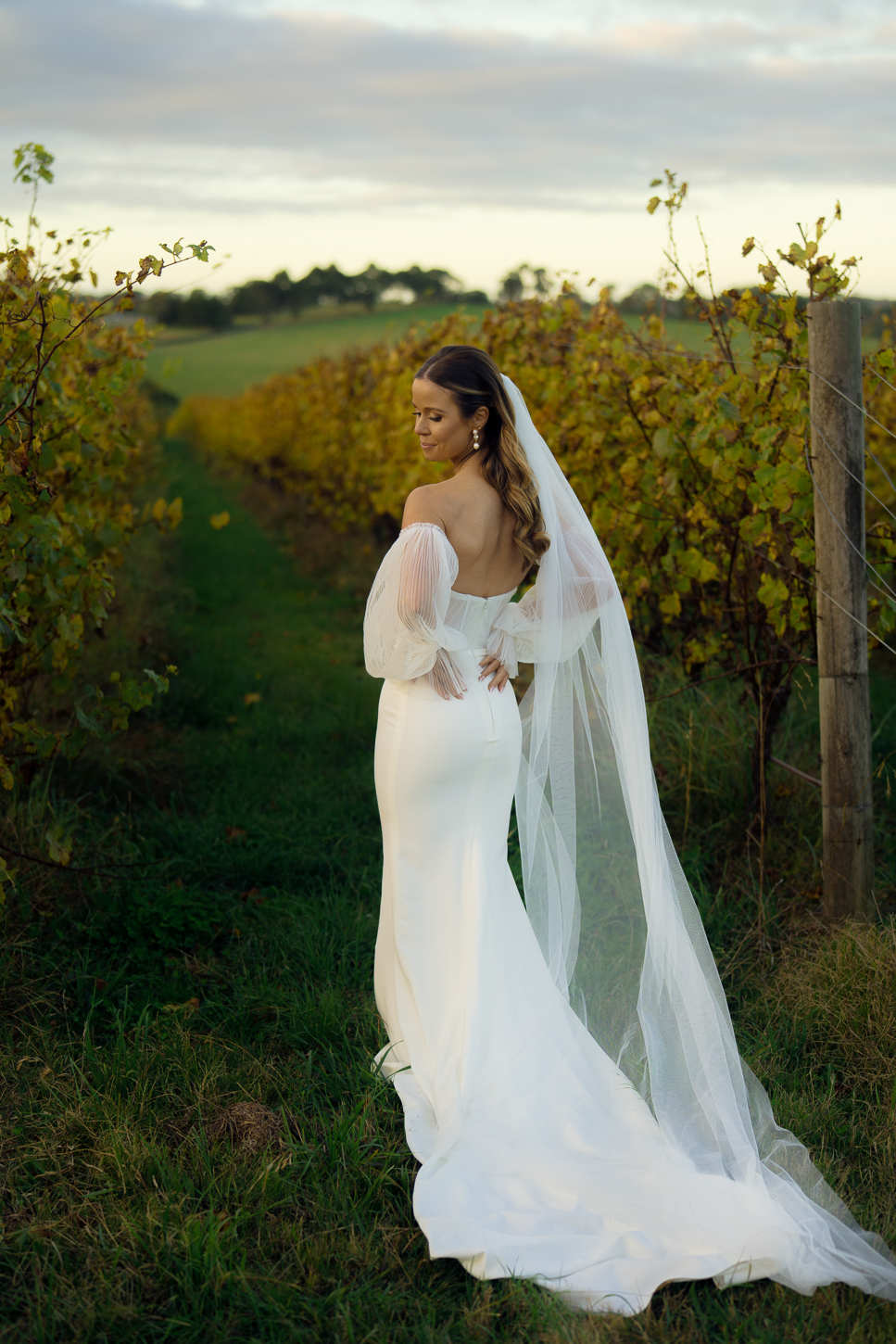 PHE08441-编辑 1 拷贝